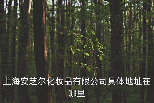 上海安芝爾化妝品有限公司具體地址在哪里