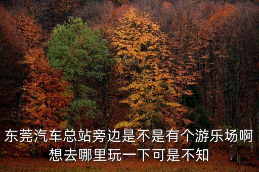 東莞汽車總站旁邊是不是有個游樂場啊想去哪里玩一下可是不知