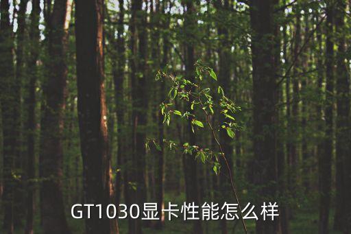 1030顯卡，1030顯卡有單風扇可以吃雞嗎 來