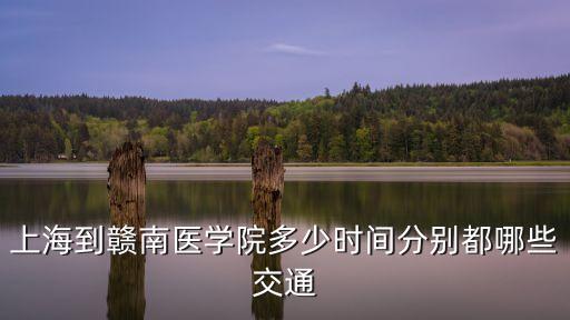 上海市贛南醫(yī)院批準(zhǔn)了嗎，南政上海醫(yī)院是公立的嗎