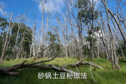 砂鍋土豆粉，砂鍋土豆粉怎么做