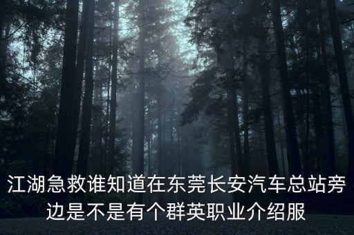 東莞莞式iso服務微信，東莞萬江SN紅場哪家酒店服務好js多優惠高價格公道有T臺