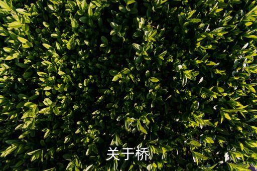 上海市昌平路大橋，寺崎電氣上海有限公司具體位置在那
