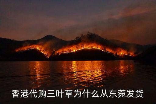 香港代購三葉草為什么從東菀發貨