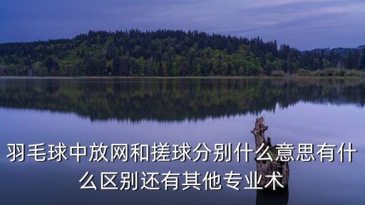 羽毛球專業術語，關于羽毛球的英文術語誰能給我幾個