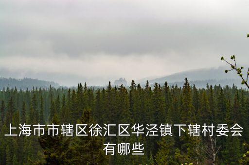 上海市華涇鎮大橋居委會電話，上海市華涇綠苑屬于什么街道什么居委會