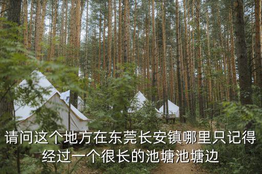 請問這個地方在東莞長安鎮哪里只記得經過一個很長的池塘池塘邊