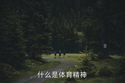 什么是體育精神