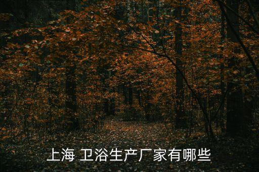 上海 衛(wèi)浴生產(chǎn)廠家有哪些