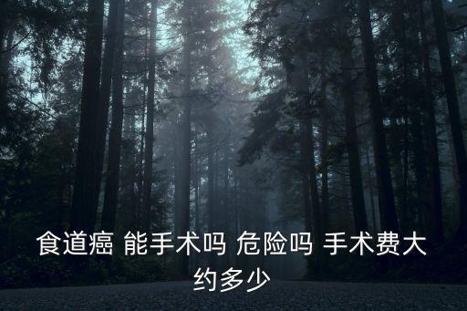上海市胸科醫院食管癌手術，那家醫院食道癌手術做的最好