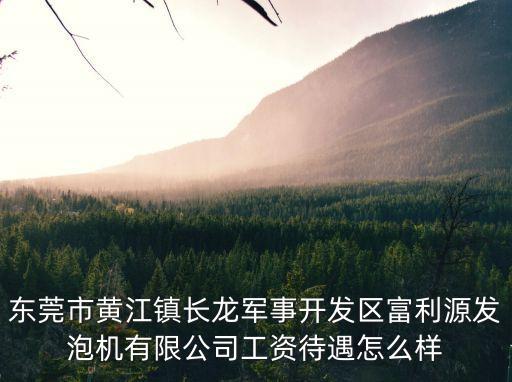 東莞長龍都是些什么廠，東莞市黃江鎮長龍軍事開發區富利源發泡機有限公司工資待遇怎么樣