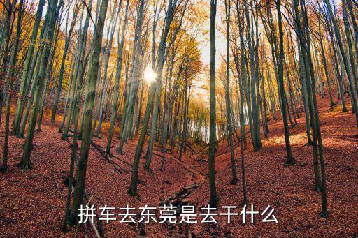 拼車去東莞是去干什么