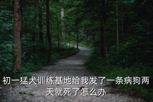 初一猛犬訓練基地給我發了一條病狗兩天就死了怎么辦