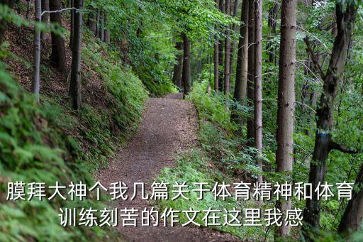 體育精神作文，通過人物事件贊美體育精神的作文200字必須是進了奧運會的