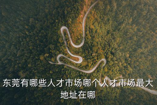 東莞有哪些人才市場哪個人才市場最大地址在哪