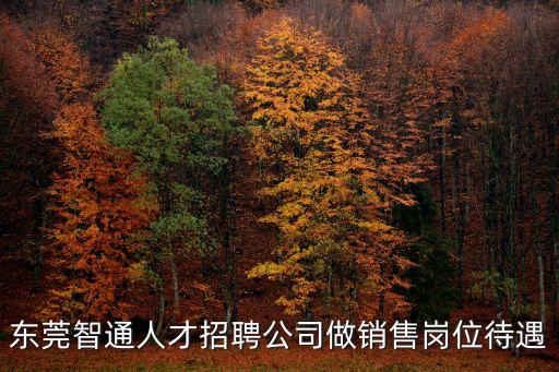 東莞智通人才招聘公司做銷售崗位待遇