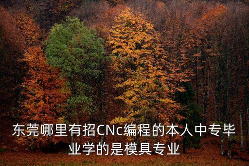 東莞模胚廠cnc招聘信息，東莞橋頭有沒有招模具學徒或CNC學徒啊