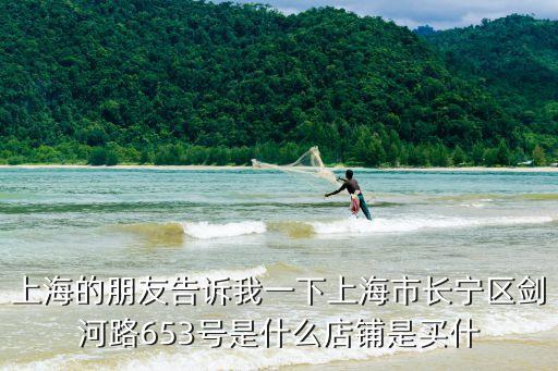 上海的朋友告訴我一下上海市長寧區劍河路653號是什么店鋪是買什