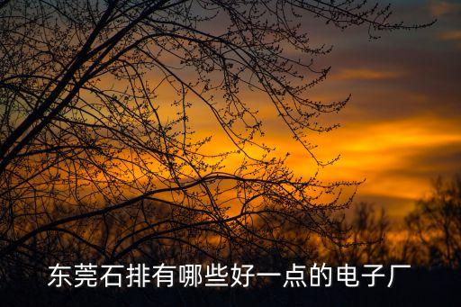 東莞石排有哪些好一點(diǎn)的電子廠