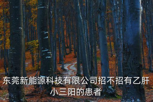 東莞英飛能新能源科技有限公司，東莞新能源有限公司
