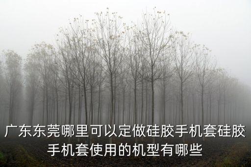 廣東東莞哪里可以定做硅膠手機套硅膠手機套使用的機型有哪些