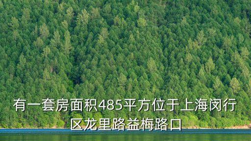 上海市閔行區整棟大平層，有一套房面積485平方位于上海閔行區龍里路益梅路口