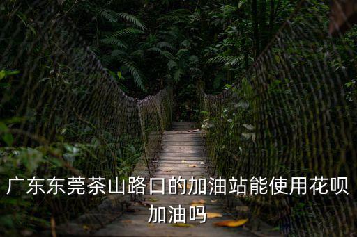 東莞油庫能加油嗎，東莞深圳廣州等地區有油庫要大量柴油嗎