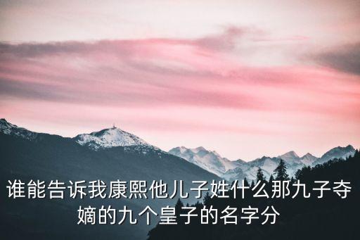 誰能告訴我康熙他兒子姓什么那九子奪嫡的九個皇子的名字分
