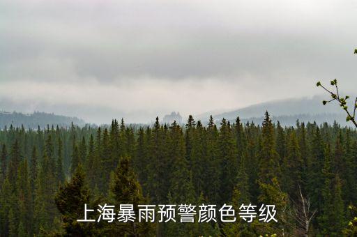 上海市發(fā)布暴雨加藍(lán)色預(yù)警，上海發(fā)布暴雨藍(lán)色預(yù)警信號(hào)當(dāng)?shù)刈隽四男┓姥错憫?yīng)行動(dòng)