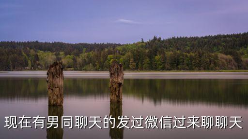 現在有男同聊天的發過微信過來聊聊天