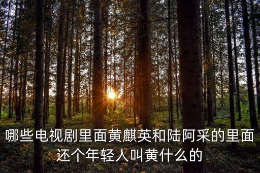 哪些電視劇里面黃麒英和陸阿采的里面還個(gè)年輕人叫黃什么的