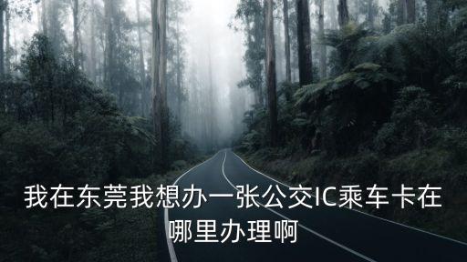 東莞哪里辦IC，我在東莞我想辦一張公交IC乘車卡在哪里辦理啊