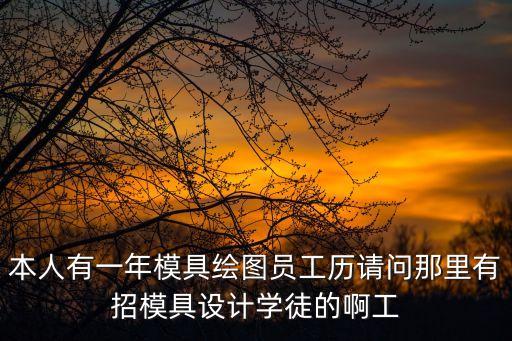 本人有一年模具繪圖員工歷請問那里有招模具設(shè)計(jì)學(xué)徒的啊工