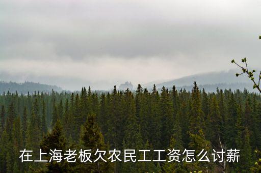在上海老板欠農民工工資怎么討薪
