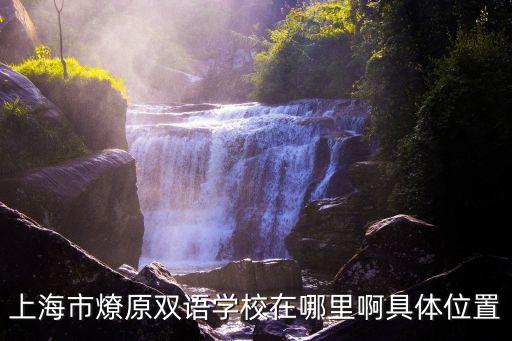 上海市燎原雙語學校足球場，上海市燎原雙語學校在哪里啊具體位置