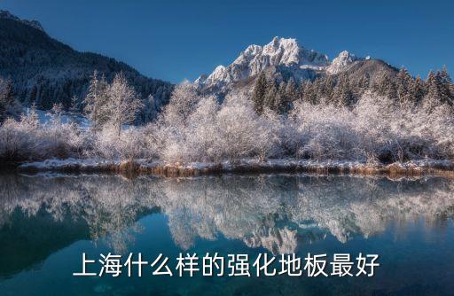 上海市納碳木強化復合地板，上海高級強化地板 5503是多少錢一平方米