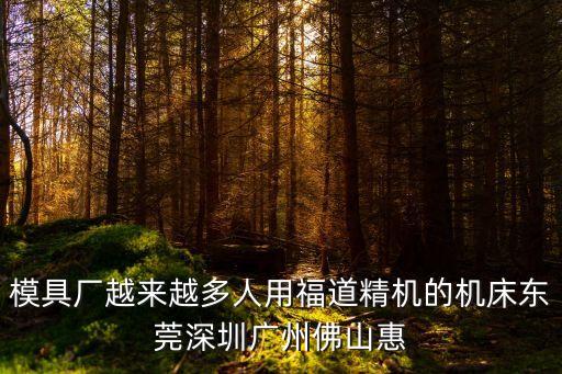 模具廠越來越多人用福道精機的機床東莞深圳廣州佛山惠
