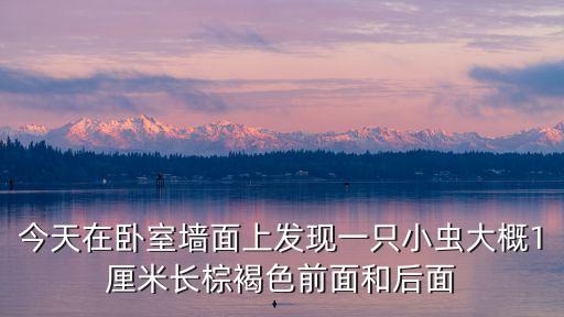 蟲(chóng)圖片，誰(shuí)有昆蟲(chóng)圖鑒啊我要有圖