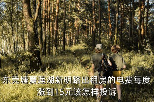 東莞塘夏蓮湖新明路出租房的電費每度漲到15元該怎樣投訴
