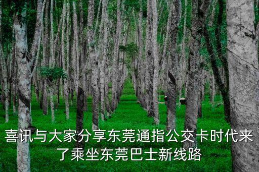 喜訊與大家分享東莞通指公交卡時代來了乘坐東莞巴士新線路