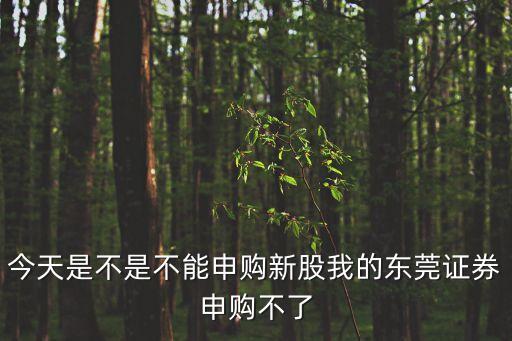 今天是不是不能申購新股我的東莞證券申購不了