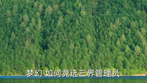 夢(mèng)幻 如何競(jìng)選三界管理員