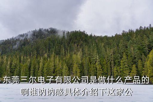 東莞三爾電子有限公司是做什么產品的啊誰訥訥感具體介紹下這家公