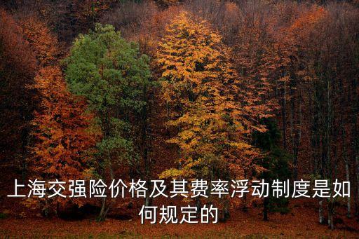 上海交強(qiáng)險(xiǎn)價(jià)格及其費(fèi)率浮動(dòng)制度是如何規(guī)定的