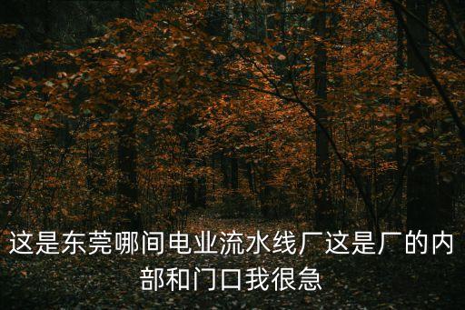 這是東莞哪間電業流水線廠這是廠的內部和門口我很急