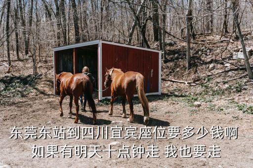 東莞至宜賓火車票，東莞東站到四川宜賓座位要多少錢啊 如果有明天十點鐘走 我也要走