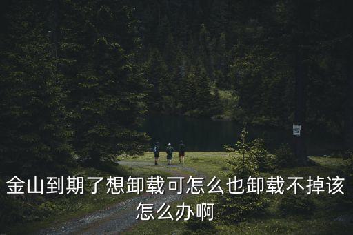 金山到期了想卸載可怎么也卸載不掉該怎么辦啊