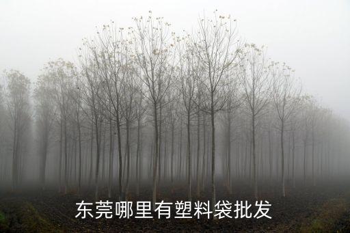 東莞塑料包裝袋，虎門那邊有那間是專業的PPPEVAPVC化妝品包裝袋PVC電