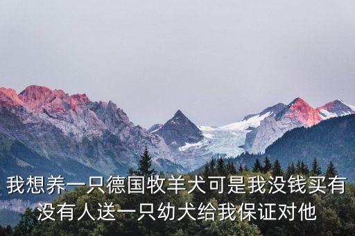 東莞免費(fèi)領(lǐng)養(yǎng)牧羊犬，東莞哪里可以領(lǐng)養(yǎng)寵物