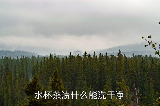 去茶漬，水杯茶漬什么能洗干凈
